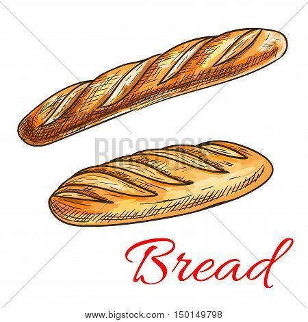 Sketch of wheat bread with fresh crispy french baguette and long loaf. Bakery shop and food packaging design