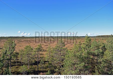 Beautiful view over the bog Vajosuo in Kurjenrahka National Park, Finland.