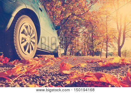 Car on asphalt road on autumnr day at park