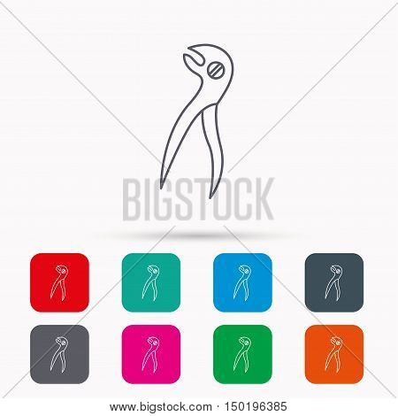 Dental pliers icon. Stomatological forceps tool sign. Linear icons in squares on white background. Flat web symbols. Vector