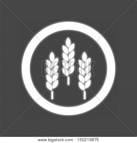 Wheat ears or rice icon on gray background