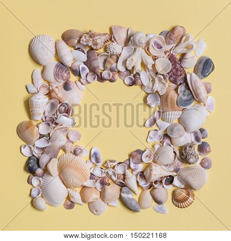 Sea shells frame with space for text on yeallow background.