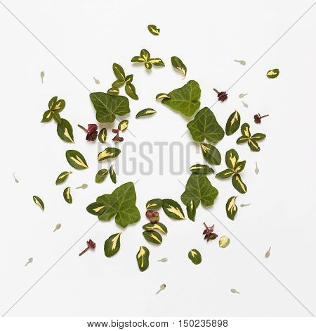 Floral nature round frame on white background. Flat lay top view. Ornament with yellow-green leaves of euonymus and ivy and succulent plants.