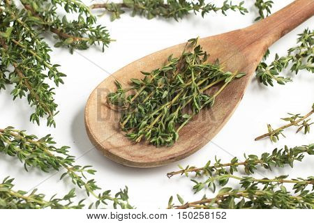 Fresh Thyme into a spoon isolated in white background