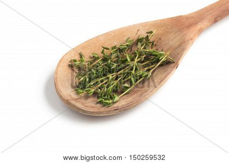 Fresh Thyme into a spoon isolated in white background