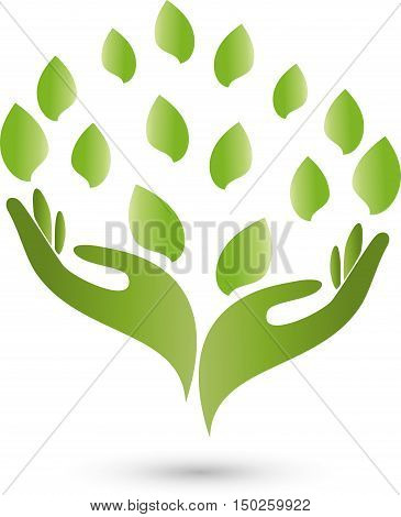 Two hands, leaves in green, medical practitioners logo