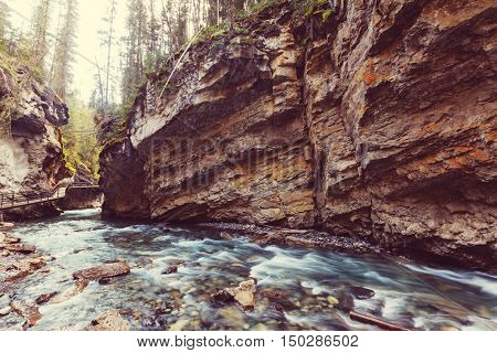 Johnston Canyon in Banff NP, Canada. Beautiful natural landscapes in British Columbia. Summer season.