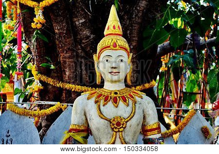 The principles of the Buddha is the anchor of the Buddhist mind.