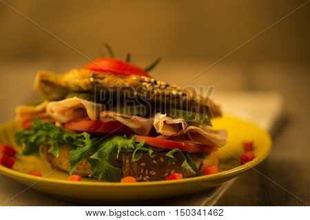 low-calorie sandwich bread with roasted on the grill with turkey and vegetables