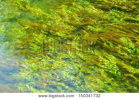 texture of flowing clear river water with aglae background
