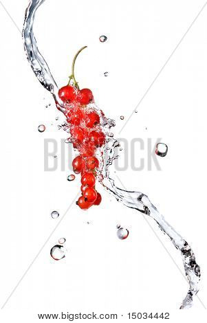 redcurrant และน้ำหยดแยกต่างหากบนพื้นสีขาว