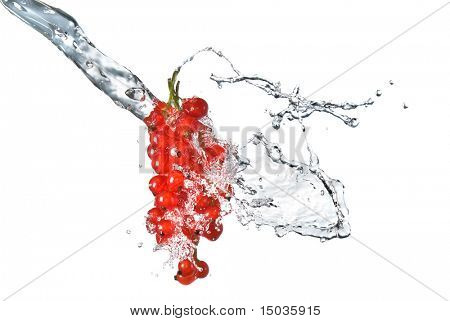 redcurrant และน้ำหยดแยกต่างหากบนพื้นสีขาว