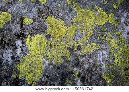 old paint on stone - anstract background