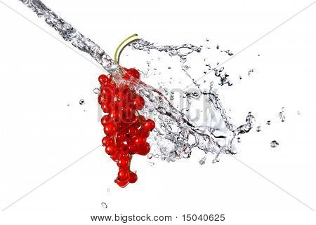 redcurrant และน้ำหยดแยกต่างหากบนพื้นสีขาว