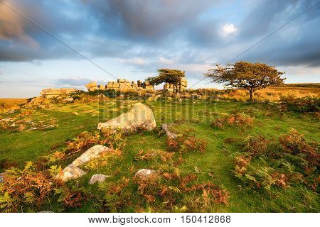 Combestone Tor In Devon