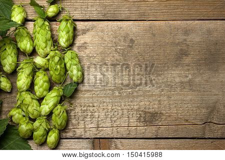 Fresh green hops on a wooden table closeup.