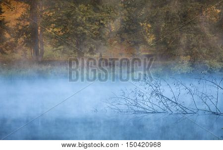 Fall foliage and misty pond in North Carolina