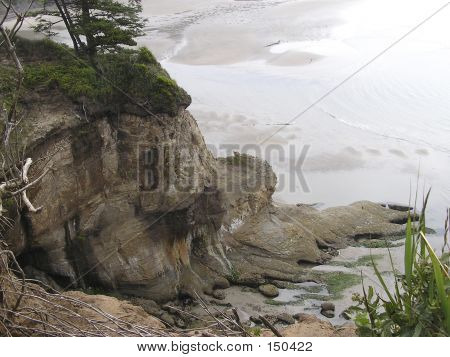 록 형성 코스트
