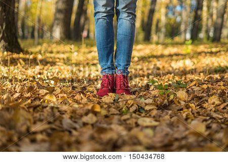 Girl in red shoes standing on fallen leaves in the park. Autumn sunny day dry yellow leaves underfoot.