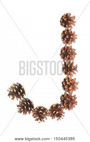 J letter made of pine cone on white