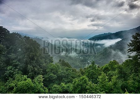 scenes along appalachian trail in great smoky mountains