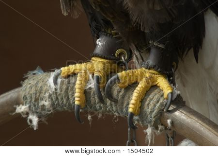 _Dsc0071
