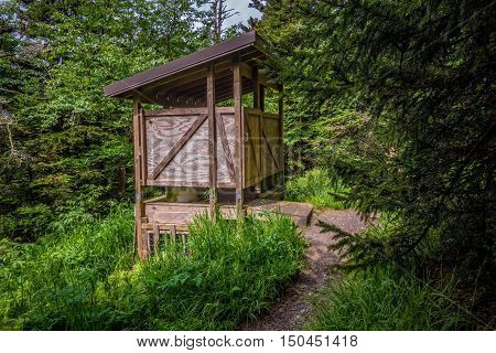 Scenes Along Appalachian Trail In Great Smoky Mountains