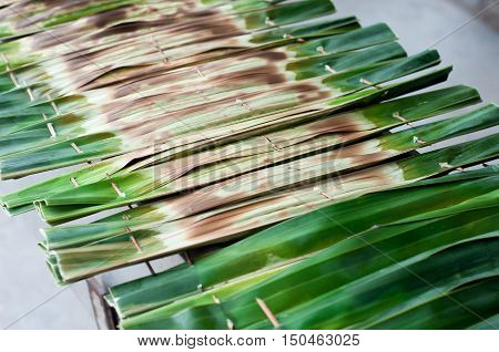 Khanom jaakNipa palm dessert Thai sweetmeat made of flour coconut and sugar wrapped in leaves and then grilled
