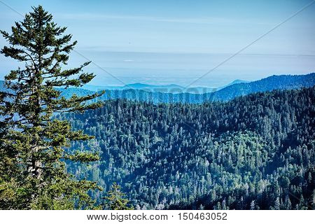 Scenes Along Appalachian Trail In Great Smoky Mountains