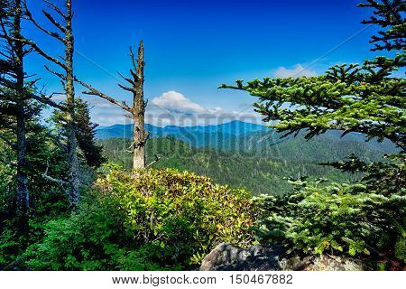 Scenes Along Appalachian Trail In Great Smoky Mountains