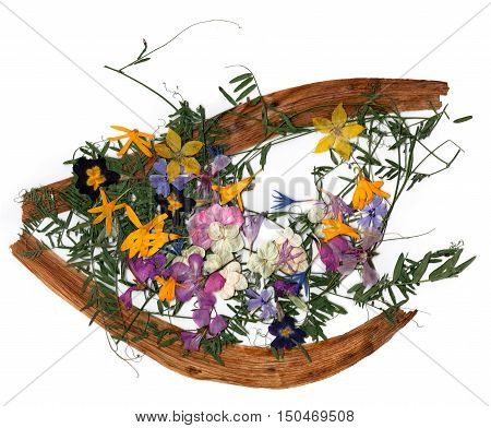 application a bouquet of dried pressing bright flowers and small delicate sweet peas yellow celandine multicolor royal Aquilegia Columbine flower long stiff brown iris leaves in the form of eye