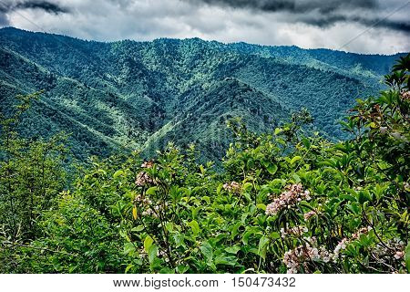 Scenes Along Appalachian Trail In Great Smoky Mountains