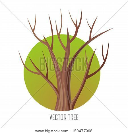 Isolated oak tree without leaves. Bare oak tree. Tree forest, leaf tree isolated, tree branch, plant eco branch tree, organic natural wood illustration. Autumn tree without leaves. Oak round icon.
