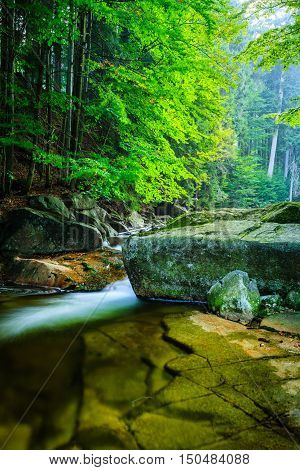 Mumlava river in the Karkonosze National Park Harrachov.