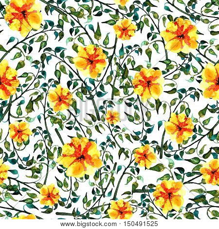 Seamless foliate watercolor ornament on white background and yellow flower