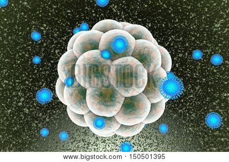 Zika viruses infecting human embryo, 3D illustration. Viruses which cause Zika fever found in Brazil and other tropical countries. Zika fever in pregnant women leads to microcephaly in fetus