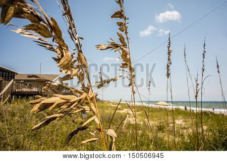 scenic views at oak island beach north carolina