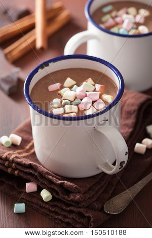hot chocolate with mini marshmallows cinnamon winter drink