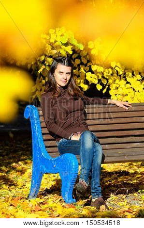 Attractive young woman sitting on brown wooden bench in beautiful park. She is looking stright at camera. Golden autumn foliage around. Girl wears blue jeans and brown turtleneck sweater. Yellow dominates in the picture.