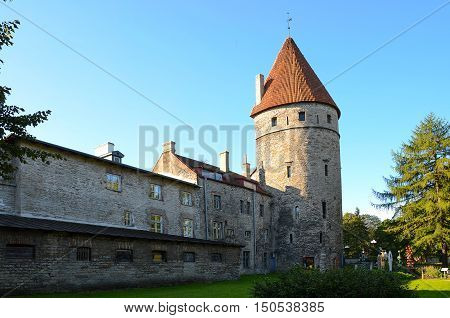Medieval Tower of city wall (Tallinna Linnamüür) in Old Town of Tallinn Estonia.