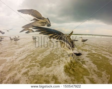 Topsail Beach North Carolina