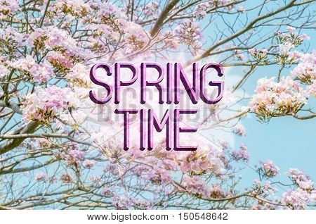 Spring time message with a beautiful pink flowers flowery background.
