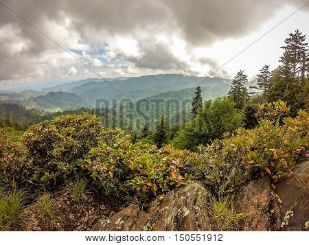 scenes along appalachian trail in smoky mountains north carolina