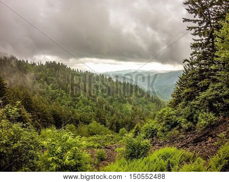 Scenes Along Appalachian Trail In Smoky Mountains North Carolina