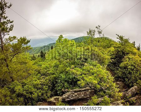 Scenes Along Appalachian Trail In Smoky Mountains North Carolina