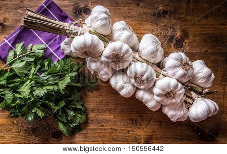 Garlic. Bunch of fresh garlic with celery herbs.