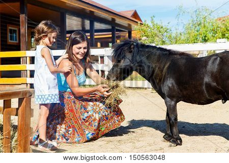 Mother and daughter are fed with straw ponies on the farm.