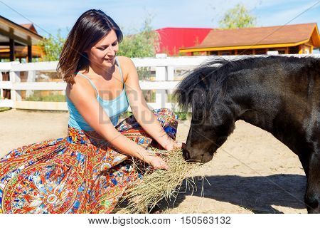 Beautiful girl feeding the straw pony on the farm.