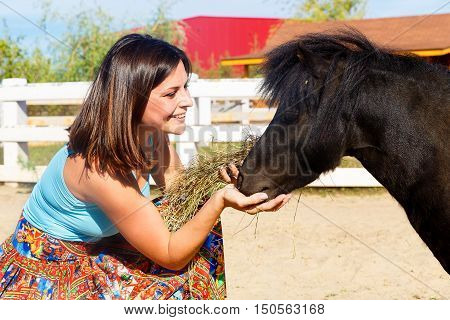 Beautiful girl feeding the straw pony on the farm.
