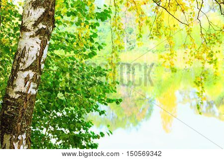autumn forest and fog near the pond